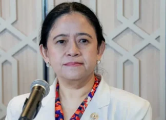 Puan Minta Pemerintah Gerak Cepat Tangani Dampak Gempa NTT
