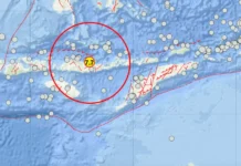 Gempa M 7,7 di NTT Picu Tsunami, 14 Wilayah Berstatus Waspada
