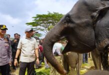 Pemprov Lampung dan TNI-Polri Perkuat Mitigasi TNWK