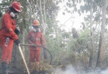 Pemerintah Optimalkan OMC Untuk Atasi karhutla di Kalimantan