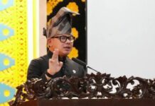 Wamendagri Minta Pembangunan Daerah Perhatikan Keadilan Ekologis