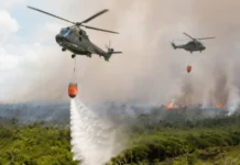Presiden Prabowo Tambah Helikopter Water Bombing Penanganan Karhutla Kalteng