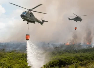 Presiden Prabowo Tambah Helikopter Water Bombing Penanganan Karhutla Kalteng