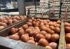 PIHPS : Harga Telur Ayam Rp29.400/kg, Bawang Merah Rp39.450/kg