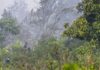 Waka MPR Dorong Investigasi Dugaan Kesengajaan Karhutla Kalimantan