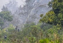 Waka MPR Dorong Investigasi Dugaan Kesengajaan Karhutla Kalimantan