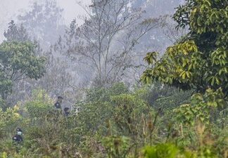 Waka MPR Dorong Investigasi Dugaan Kesengajaan Karhutla Kalimantan