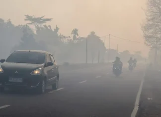 Waspada Gangguan Pernapasan hingga Iritasi Mata Dampak Dari Kabut Karhutla