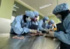 KKP Kembangkan Hilirisasi Sisa Pengolahan Ikan Untuk Dorong Ekonomi Biru