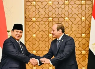 Presiden Mesir Bakal Temui Prabowo di Indonesia