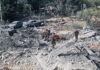 Israel Serang 17 Permukiman, Empat Lembah di Lebanon Selatan
