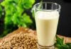Manfaat Kandungan Protein Dalam Susu Kedelai